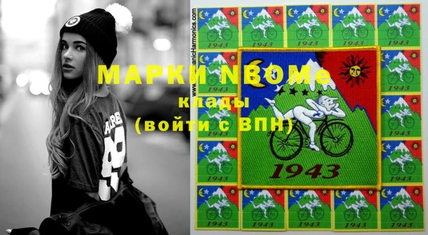 индика Бронницы