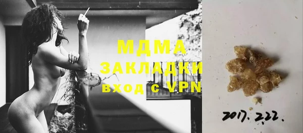 индика Бронницы