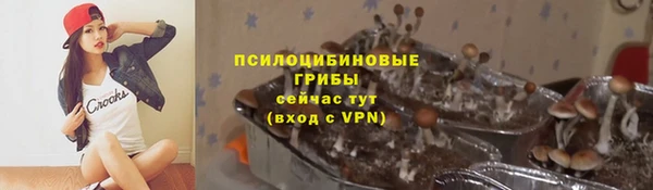 бутират Бугульма