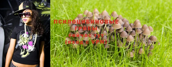 индика Бронницы