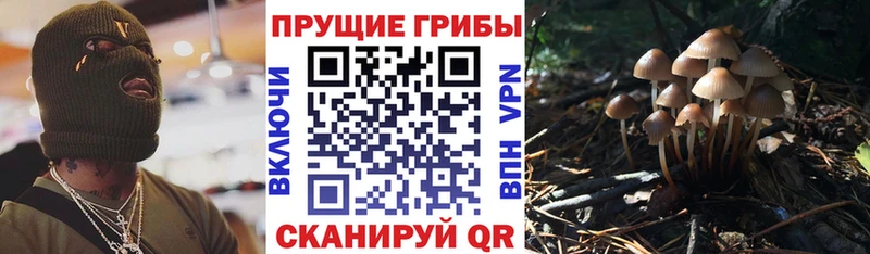 Купить закладки  Анапа  Псилоцибиновые грибы мухоморы 